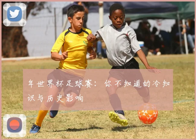 年世界杯足球赛：你不知道的冷知识与历史影响
