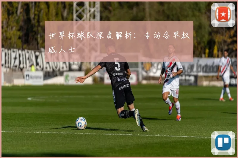 世界杯球队深度解析：专访各界权威人士