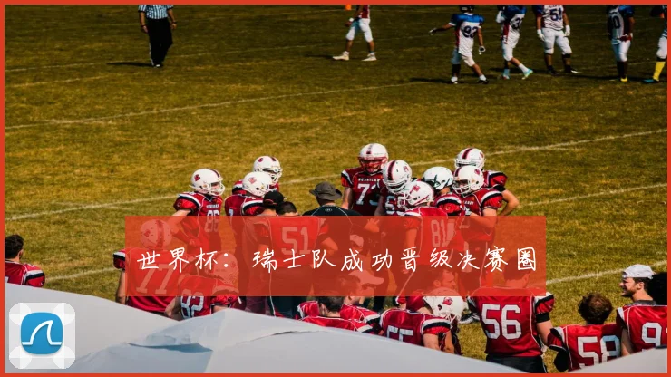 世界杯：瑞士队成功晋级决赛圈